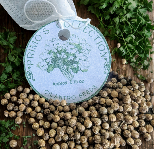 Cilantro | Coriander Seeds